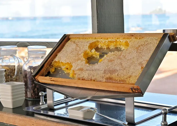 酒店 Restaurant Dolce 阿雅克肖