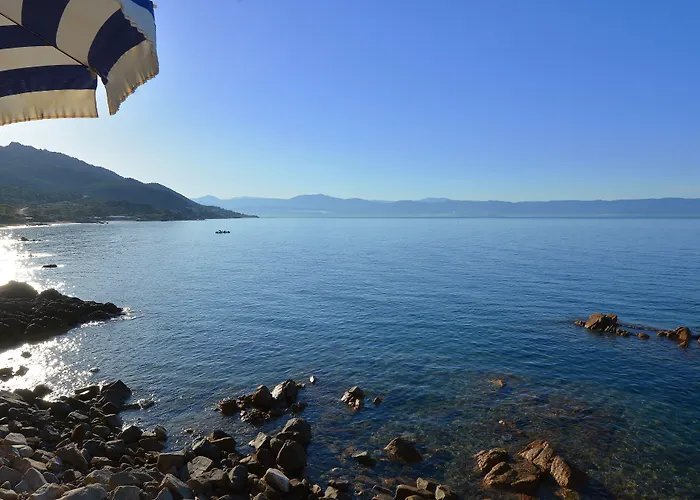 Restaurant Dolce 阿雅克肖