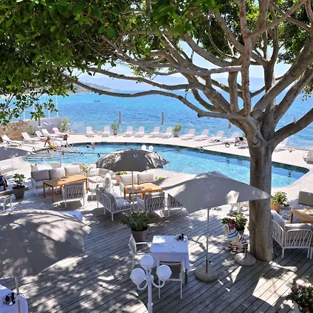 Restaurant Dolce Ajaccio (Corsica)